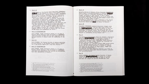 poster_rex_180327_01622