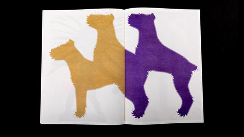 poster_rex_180327_01623